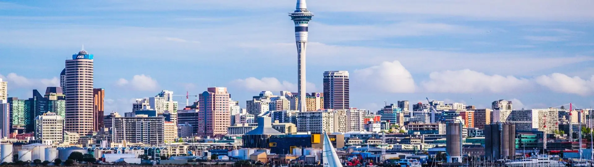 Study in New Zealand cover image