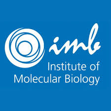 logo of IMB International PhD Program Germany